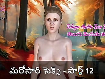 Plumb-out with 3d models - Part 12: A Telugu Audio Hook-up Story - A Story of Enjoy and Adventure