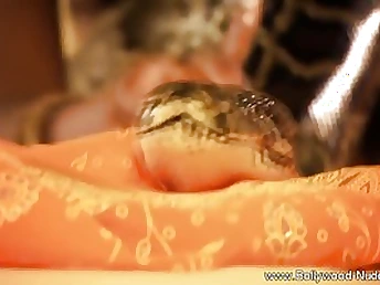 Exotic oriental teenager gets her puffies swell from playing with her humungous pet snake on the couch
