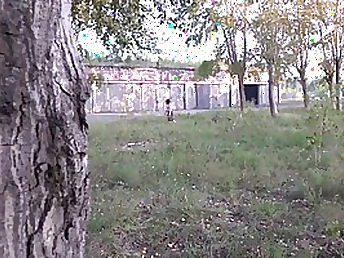 Insatiable girl wearing a microskirt flashing her snatch in public