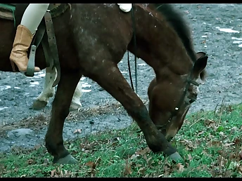 Justine A Operation love affair be advisable for Chastity